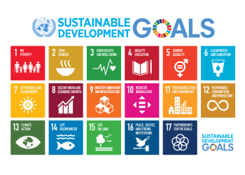 SDGs: Stakeholders underscore the importance private sector investments  