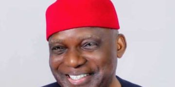 Ex-minister, Nnaji accuses diesel suppliers, generator dealers of sabotaging power supply