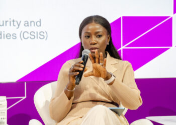 Nigerian govt. committed to de-risking power sector to attract more investments – Verheijen