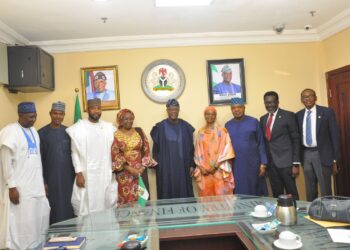 Brace up for the task to stabilise economy, Minister tells NAICOM Board