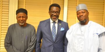 Insurance sector must mobilise savings for long-term projects, businesses, says NAICOM boss