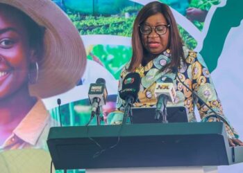 How AfDB is supporting Africa’s push towards $1trn food, agric market by 2030   