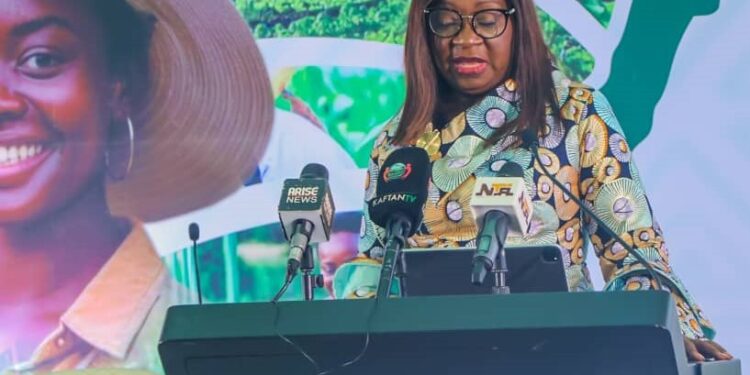 How AfDB is supporting Africa’s push towards $1trn food, agric market by 2030   