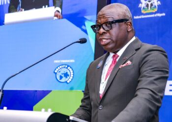 Why Nigeria needs bold, coordinated action to build a resilient energy sector, says IPPG