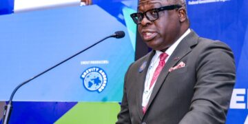 Why Nigeria needs bold, coordinated action to build a resilient energy sector, says IPPG