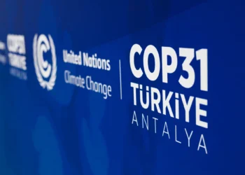 COP31: Global Investors rally as Commonwealth Secretariat, UN Agency, others on queue for Nigeria Climate Investment Summit