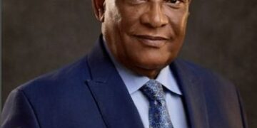 Controversy trails Tinubu’s sack of NMDPRA Chief as successor is named